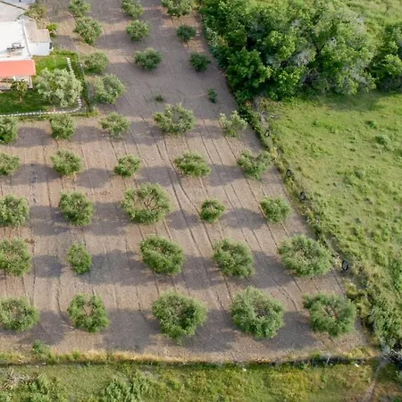 Semesterbostad Elia Small Paradise Kos